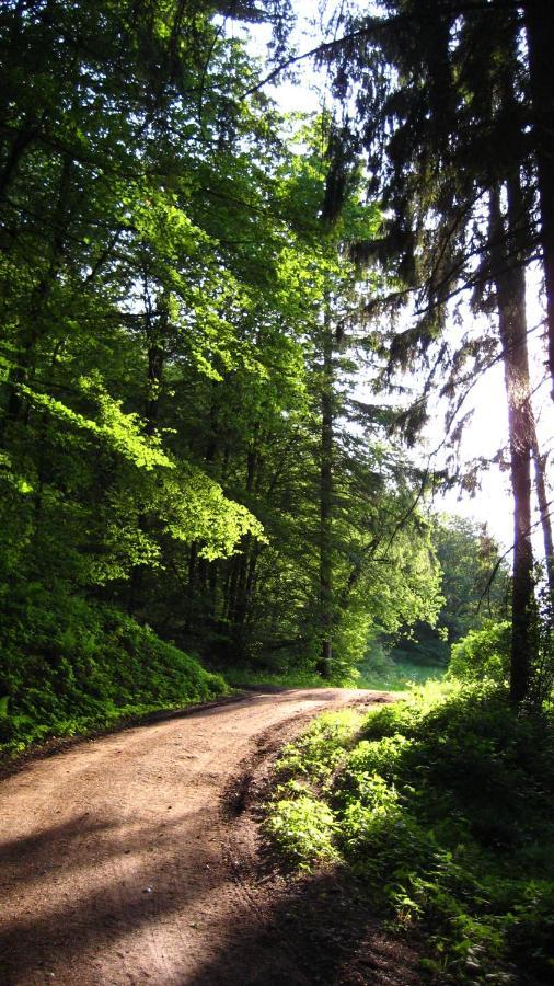 Gaestezimmer Waldblick Wimbach Zewnętrze zdjęcie