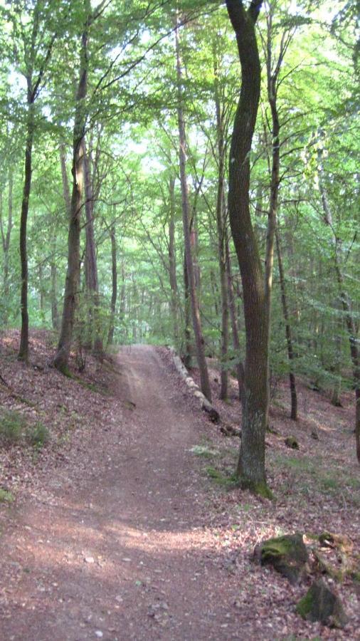 Gaestezimmer Waldblick Wimbach Zewnętrze zdjęcie