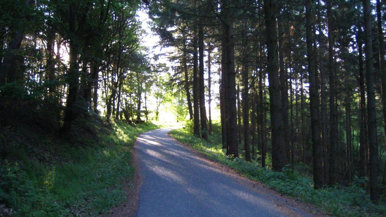 Gaestezimmer Waldblick Wimbach Zewnętrze zdjęcie